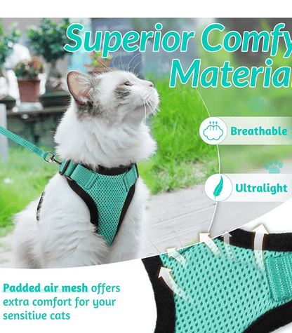 Katzenhalsband und Leinenset