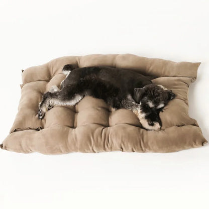 PawfectPet™ CozyDream – Warmes Sofa-Haustierbett für Wintertage
