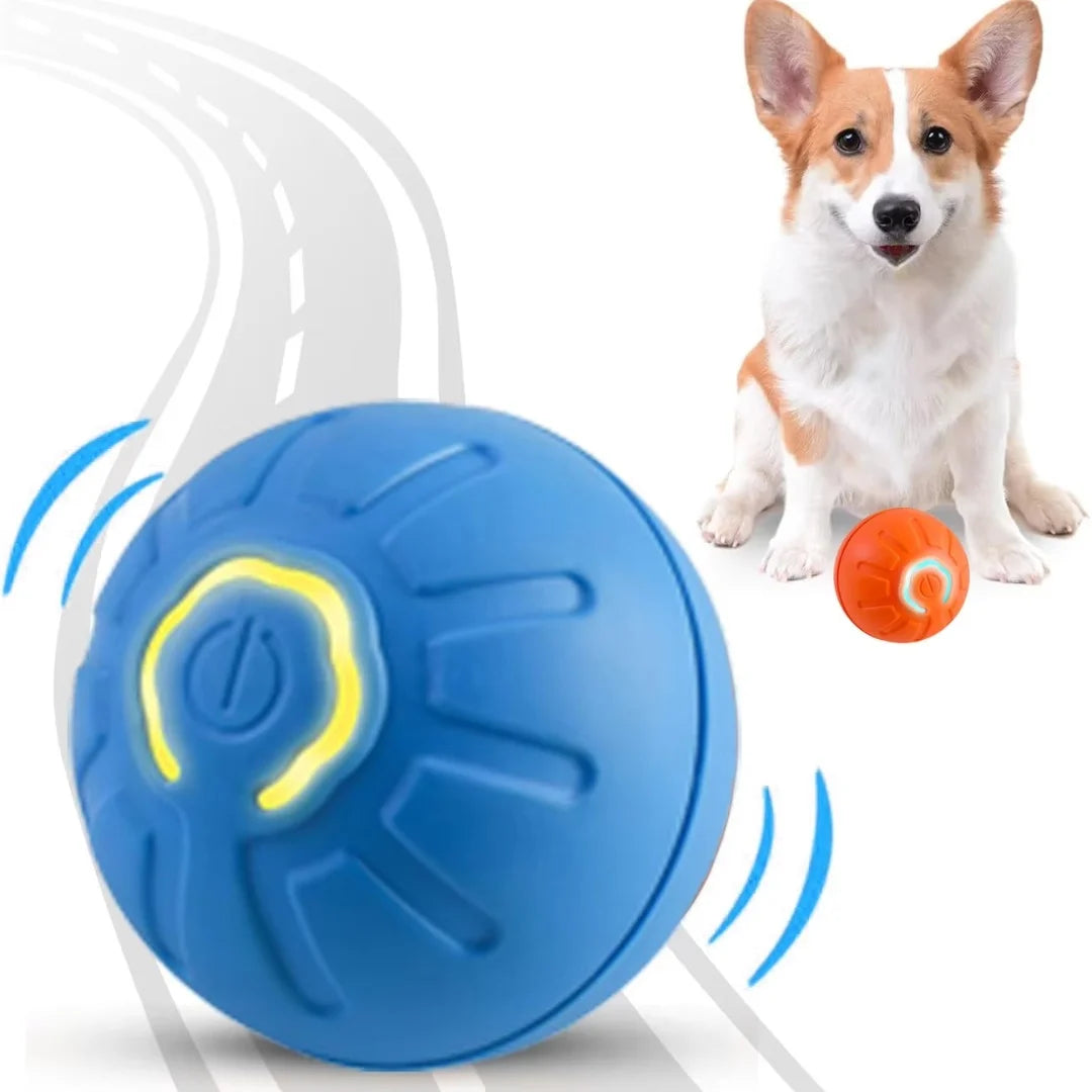 PawfectPet™ GravityBall – Elektrischer Spielball für Hunde und Katzen