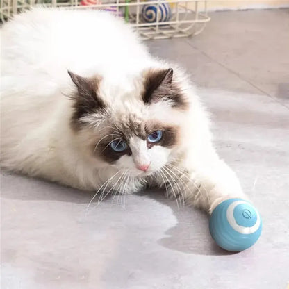 PawfectPet™ PlaySphere – Selbstbewegender Ball für Katzen