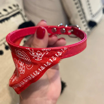 PawfectPet™ StyleBand – Verstellbares Halstuch für Haustiere