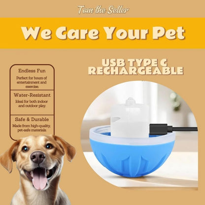 PawfectPet™ GravityBall – Elektrischer Spielball für Hunde und Katzen