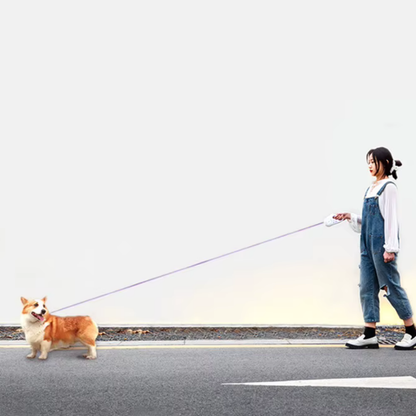 PawfectPet™ Premium-Leine – Komfort & Sicherheit bei jedem Schritt!