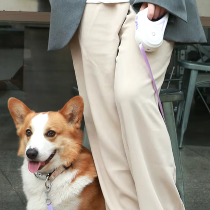 PawfectPet™ Premium-Leine – Komfort & Sicherheit bei jedem Schritt!