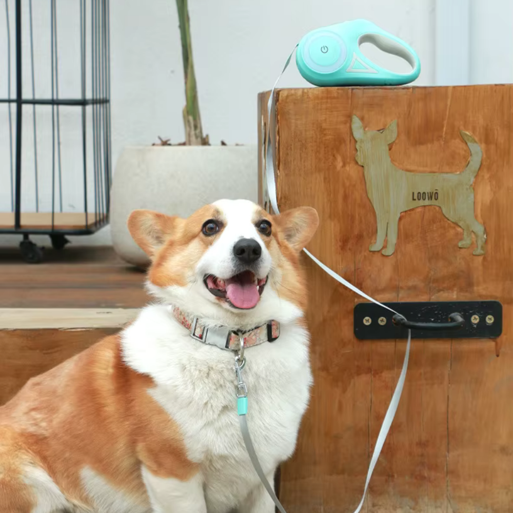 PawfectPet™ Premium-Leine – Komfort & Sicherheit bei jedem Schritt!